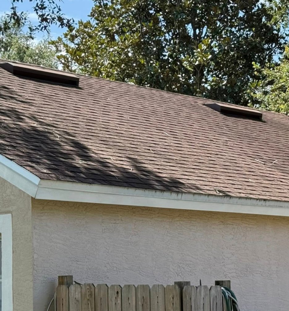 Roof - Before